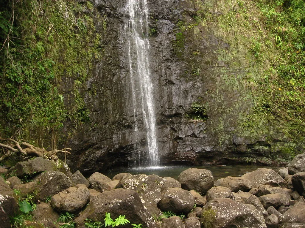 Manoa Falls