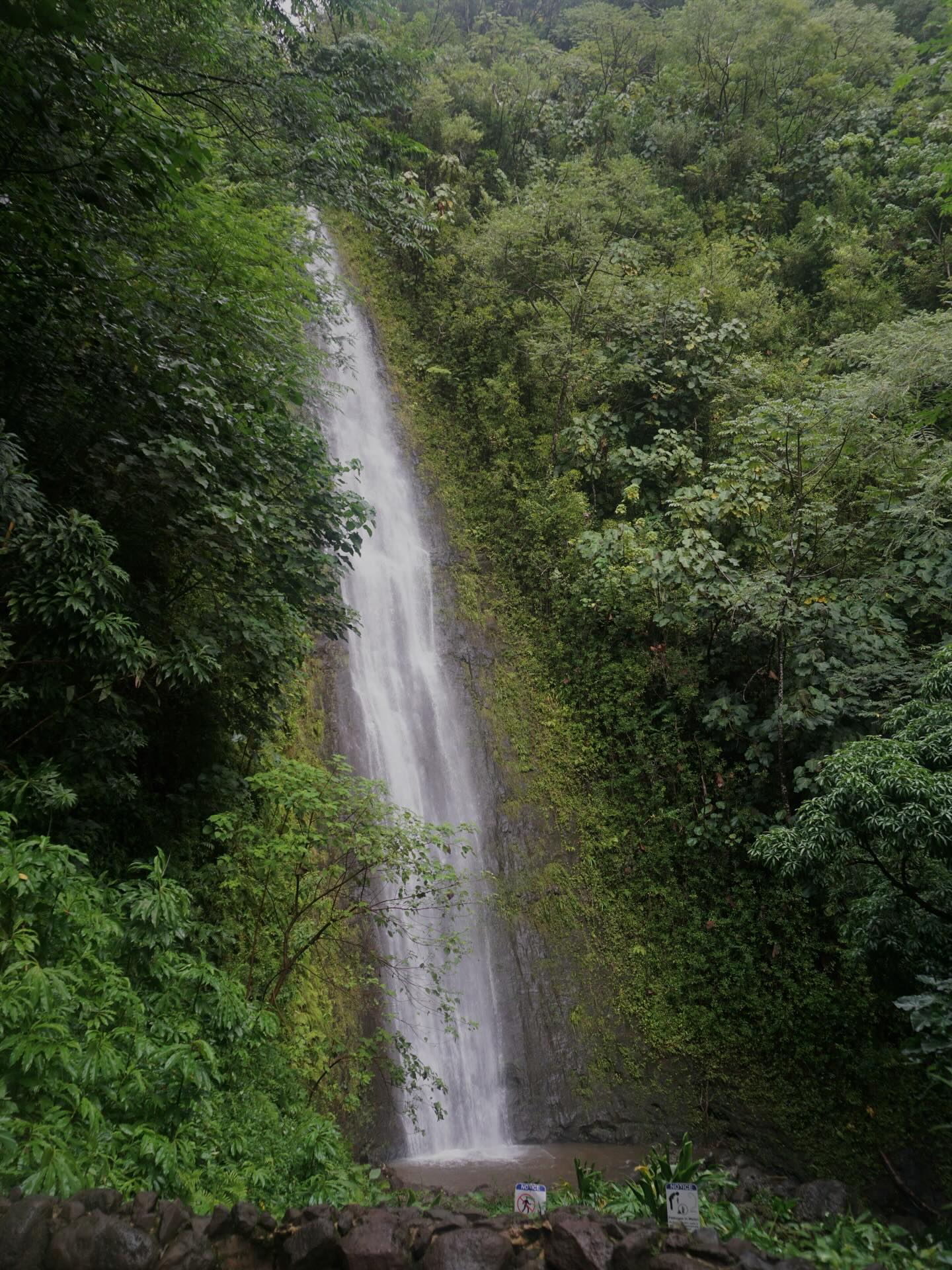 Vue de Manoa Falls