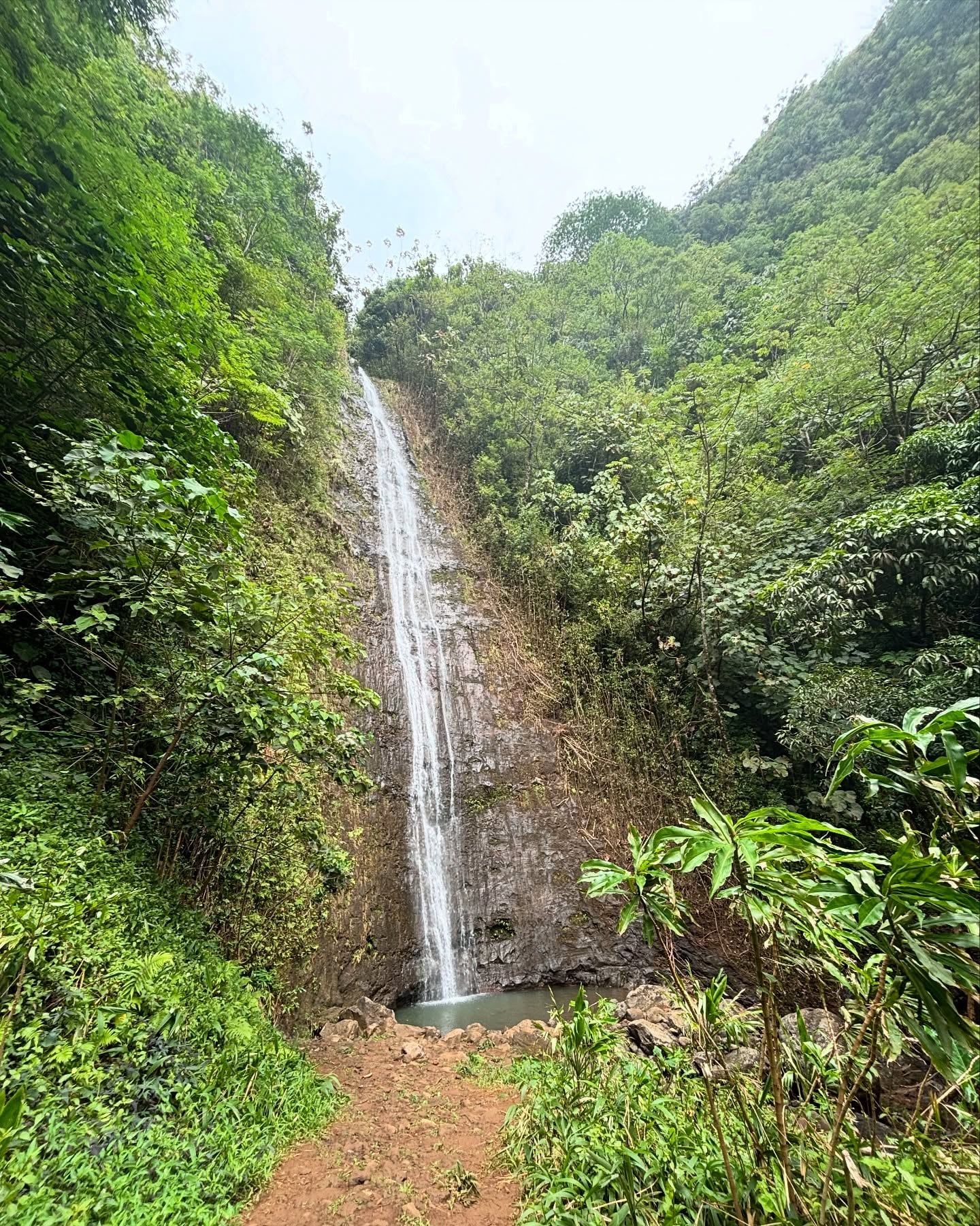 Vue de Manoa Falls
