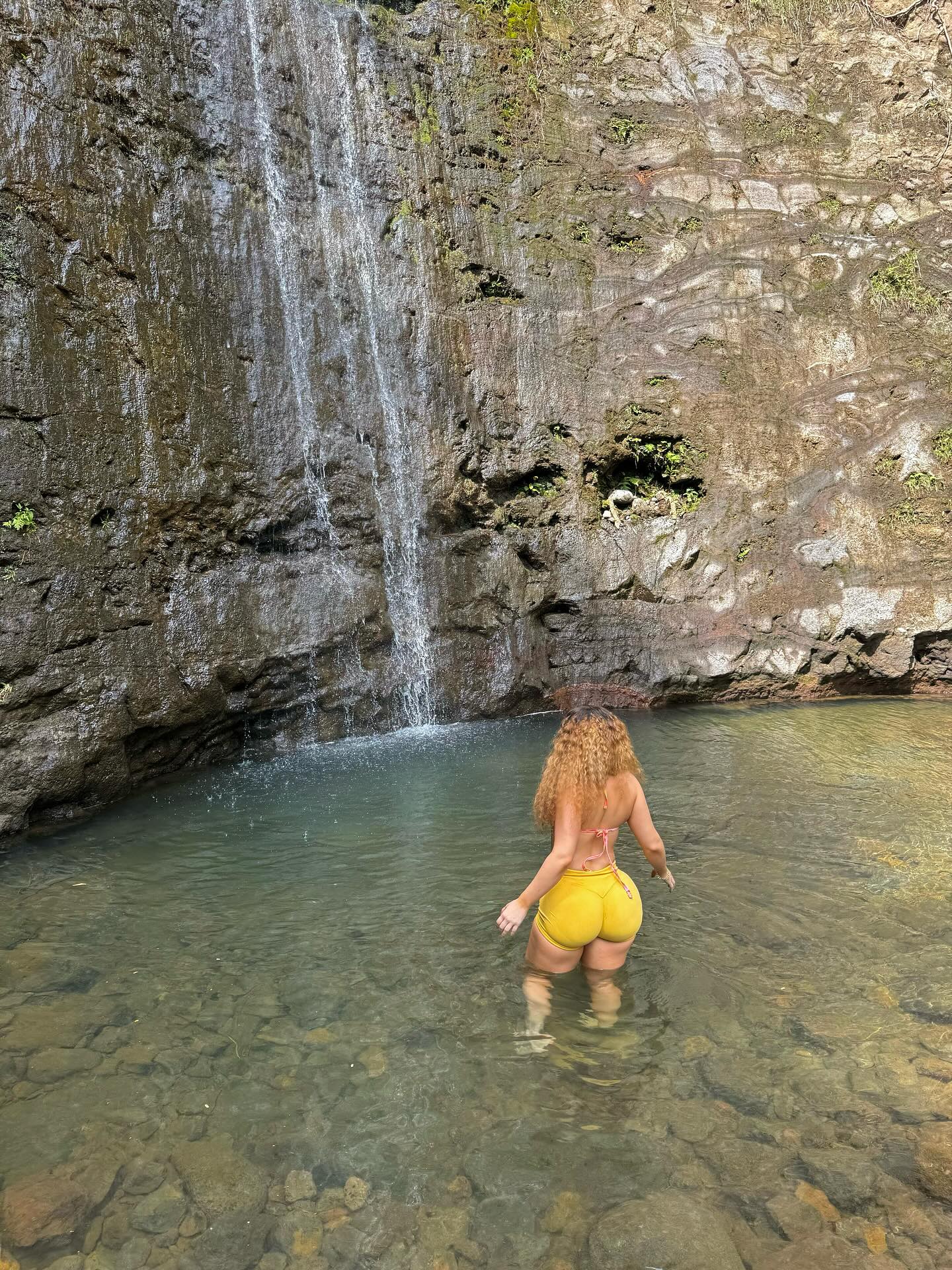 Manoa Falls tour visitor photo