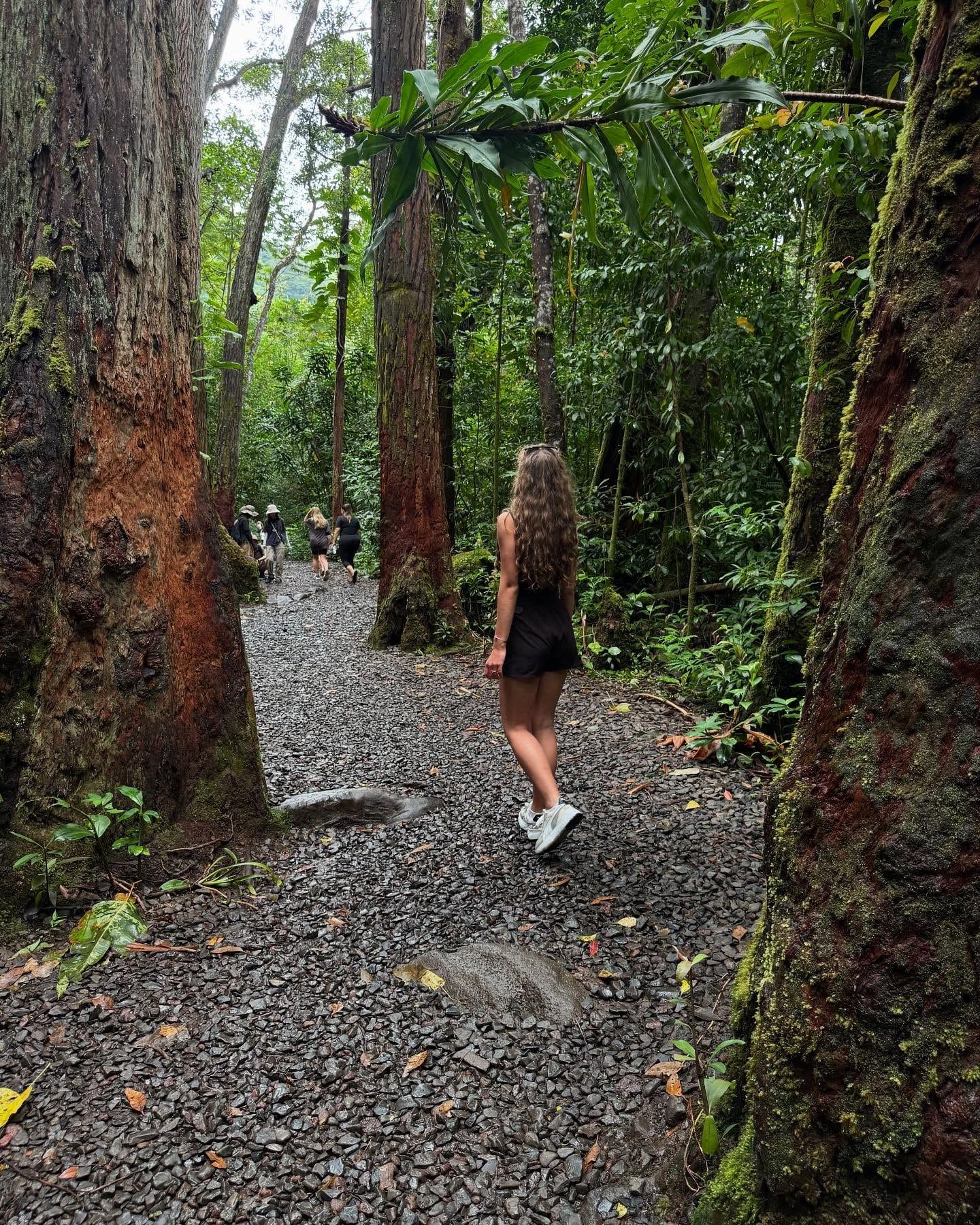 Manoa Falls tour visitor photo