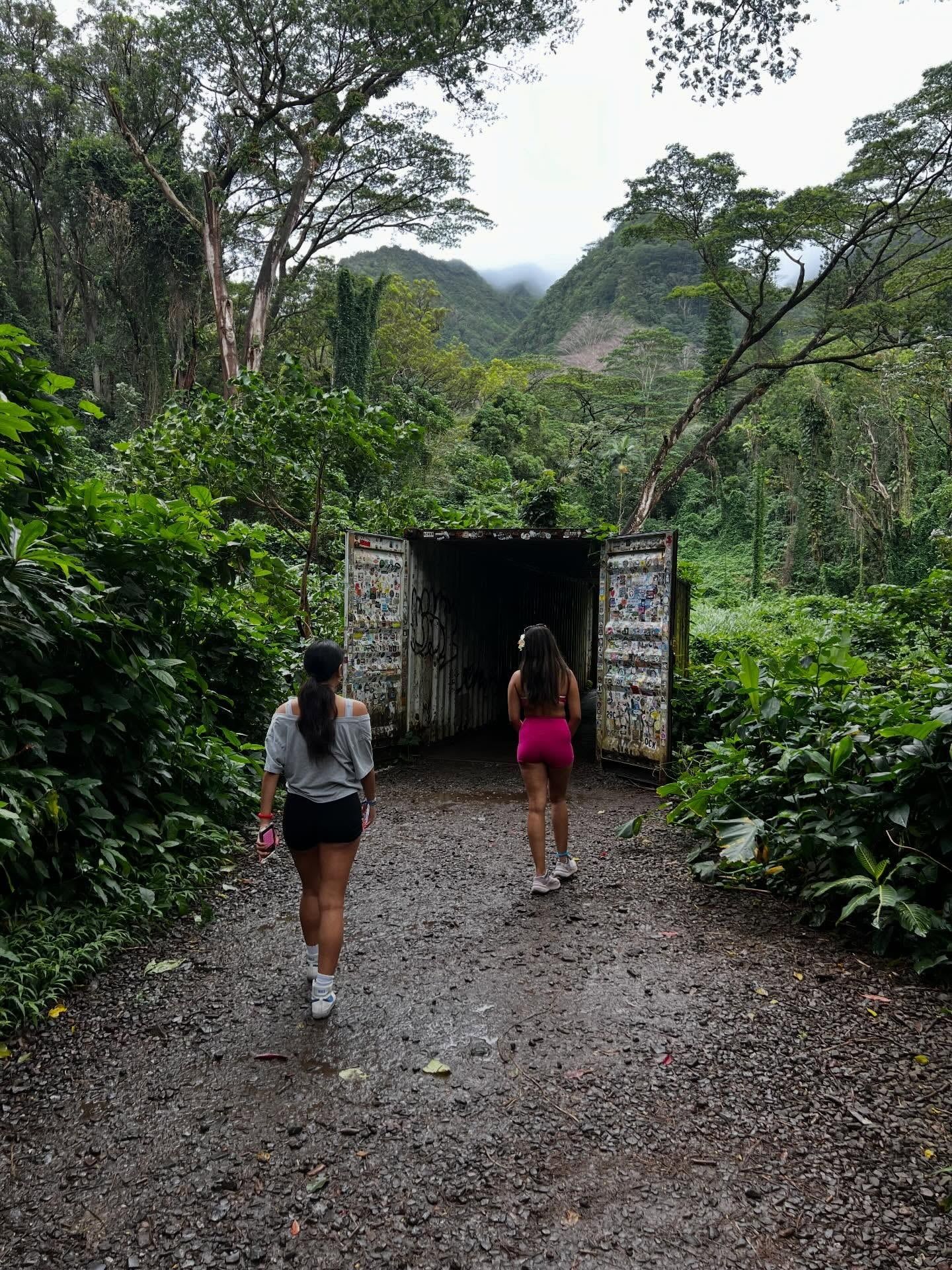 Manoa Falls tour visitor photo